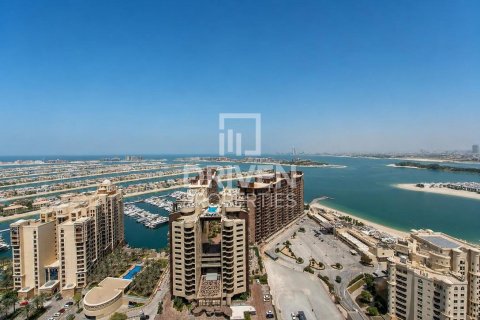 Appartement de 1 chambre à The Palm Tower, UAE No. 200691 12
