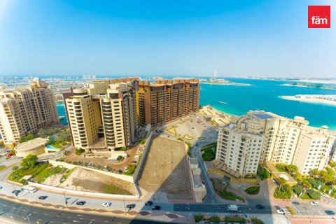 48m² Apartment in Palm Jumeirah, UAE No. 208284 12