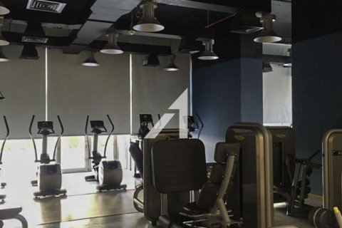 Квартира с 1 спальней  №117437 16