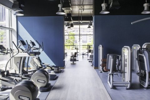 Квартира с 1 спальней  №117437 13