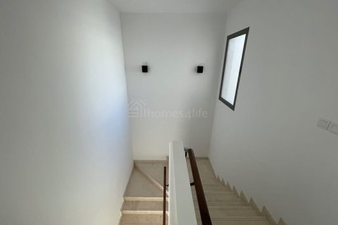 Таунхаус с 3 спальнями в Town Square, ОАЭ №144687 11