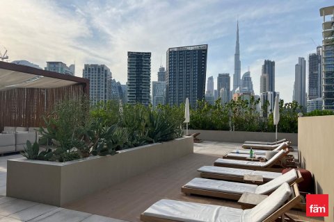 42.6m² Apartment  No. 117767 13