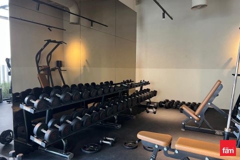 42.6m² Apartment  No. 117767 18