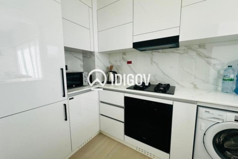 1 bedroom Apartment in District 13, UAE No. 184616 5