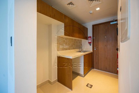 Studio Apartment in Al Reem Island, UAE No. 171361