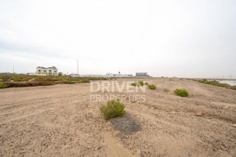 Land de 954.49m² à Jebel Ali, UAE No. 191387 7