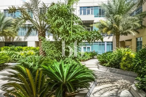 Apartment de 1 dormitorio  No. 113141 11