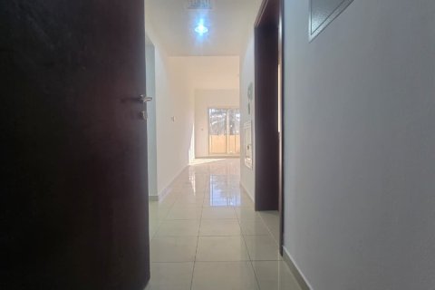 2 bedrooms Apartment in Ras Al Khaimah, UAE No. 183863 3