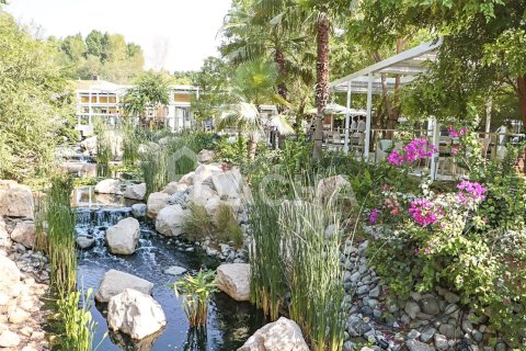 2859m² Land in Al Barari, UAE No. 155596 4