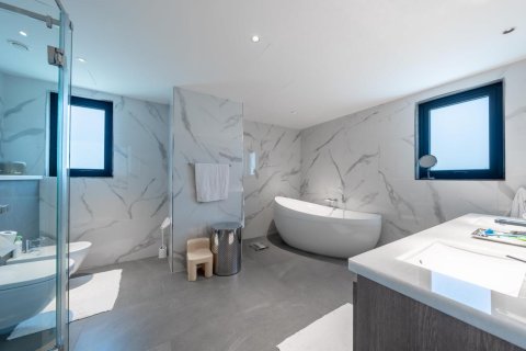 4 غرف نوم فيلا في Jumeirah Islands, الإمارات العربية المتحدة رقم 101644 16