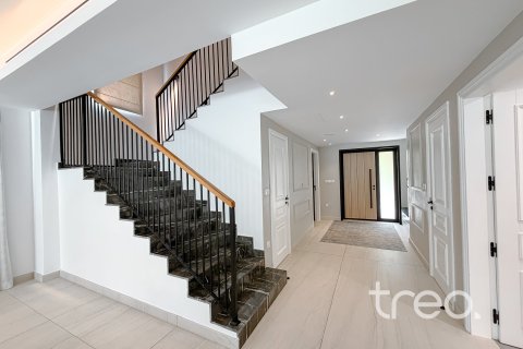 4 bedrooms Villa in Regional, UAE No. 199049 13