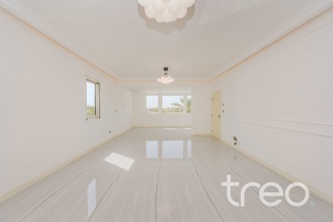 Villa de 5 dormitorios en Saheel, UAE No. 173430 20