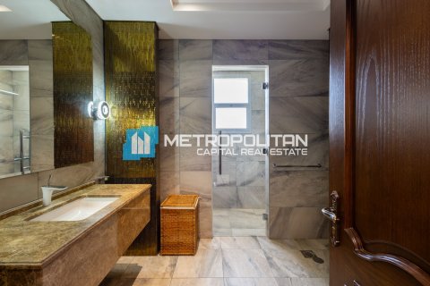 7 غرفة نوم  فيلا  رقم 131867 23