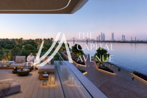 Apartment de 1 dormitorio en Al Hudayriat Island, UAE No. 185510 9