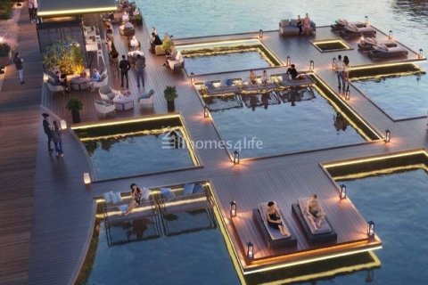 4 bedrooms Townhouse in The World Islands, UAE No. 147494 16