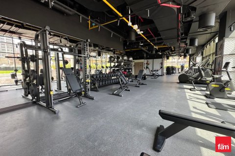 1 bedroom Apartment  No. 119820 17