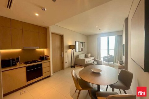 Hotel Apartamento de 1 dormitorio en Downtown Dubai (Downtown Burj Dubai), UAE No. 147772 5