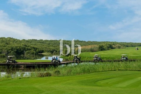 Apartment de 1 dormitorio  No. 113338 7