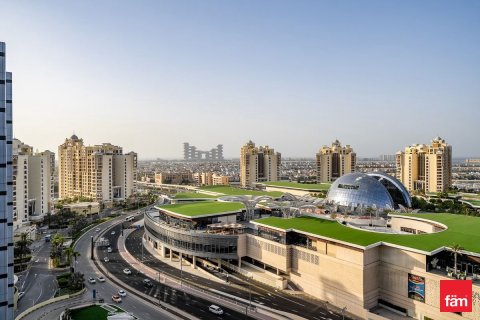 Studio Apartment in Palm Jumeirah, UAE No. 142333