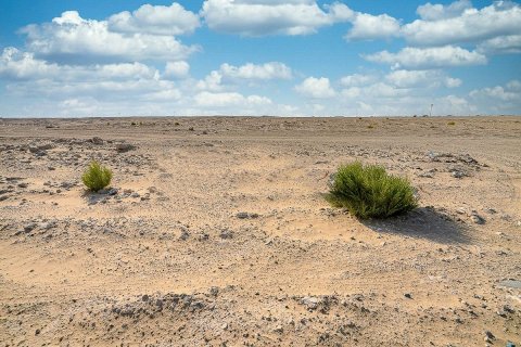 4047مربع، قطعة أرض في جزيرة الريم, الإمارات العربية المتحدة رقم 62399 12
