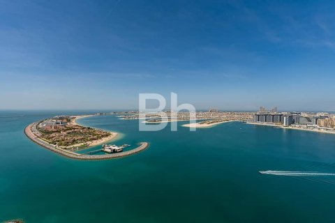 3 bedrooms Apartment  No. 113423 8