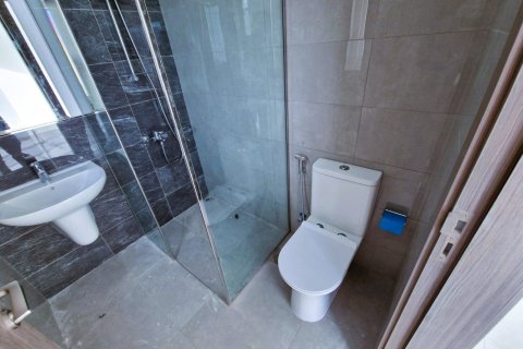 4 bedrooms Townhouse in DAMAC Hills (Akoya by DAMAC), UAE No. 168536 10