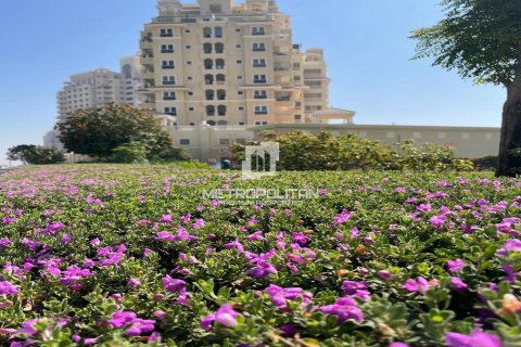 54m² Apartment in Al Hamra Village, UAE No. 171690 11
