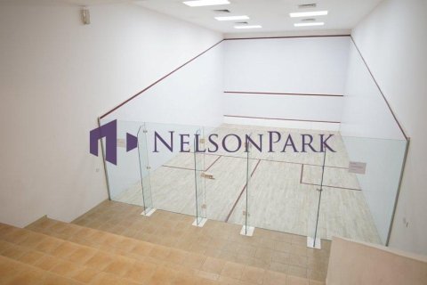 5 bedrooms Villa in Doha, Qatar No. 57979 13