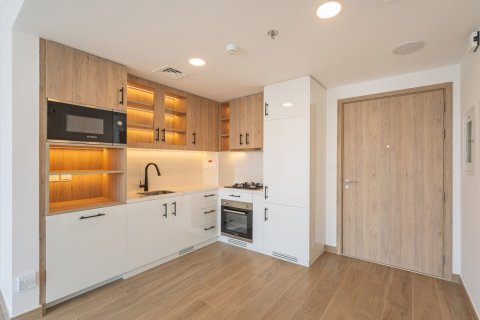 Apartment de 1 dormitorio en Town Square, UAE No. 170598 13