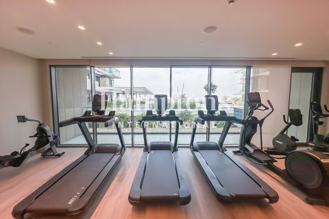 2 bedrooms Apartment in Mina Rashid, UAE No. 199532 24