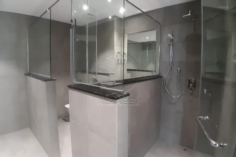 4 bedrooms Penthouse on the Saadiyat Island, UAE No. 89856 12