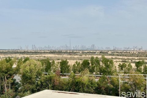 Villa de 5 dormitorios  No. 116577 28