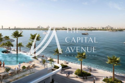 4 bedrooms Villa in Al Hudayriat Island, UAE No. 199641 9