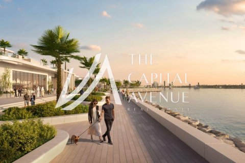 4 bedrooms Villa in Al Hudayriat Island, UAE No. 199641 11