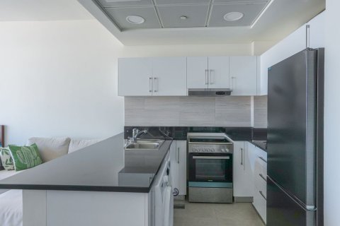 Квартира 40м² на Остров Саадият, ОАЭ №79839 5