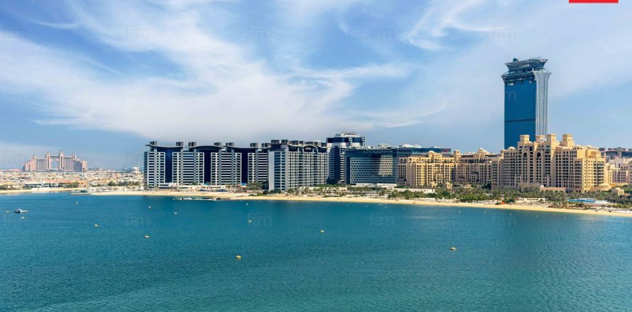 Appartement de 1 chambre à Dubai Harbour, UAE No. 205605