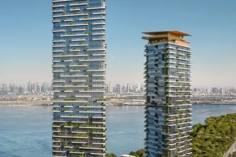 Studio Apartment in Dubai, UAE No. 165189 7