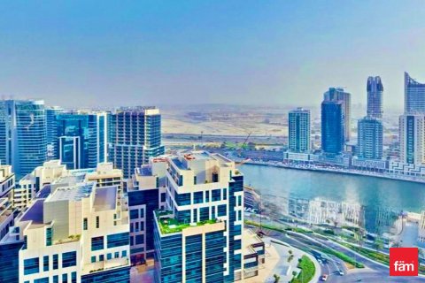 Квартира 49.5м² в Даунтаун Дубай (Даунтаун Бурдж Дубай), ОАЭ №146050 13