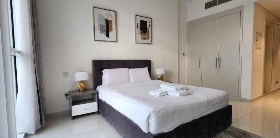 Studio Apartment in Dubai, UAE No. 170142
