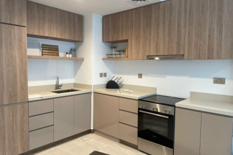 2 bedrooms Apartment in Urban Oasis, UAE No. 161673 17