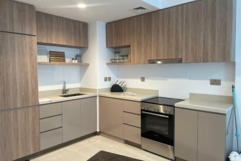 2 bedrooms Apartment in Urban Oasis, UAE No. 161673 5