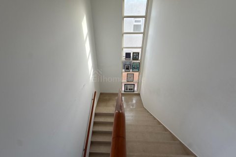 3 bedrooms Villa in Saheel, UAE No. 166162 12