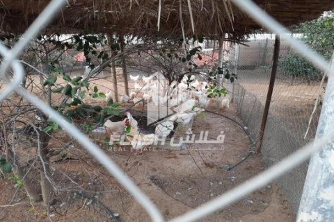 Земельный участок 18581м²  №124539 5