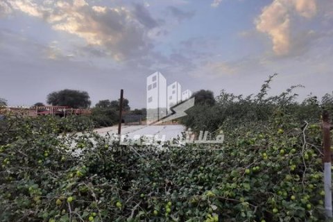 Земельный участок 18581м²  №124539 7