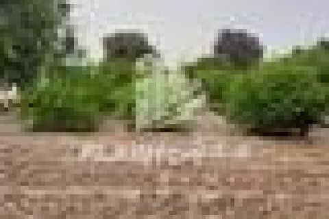 Земельный участок 18581м²  №124539 13