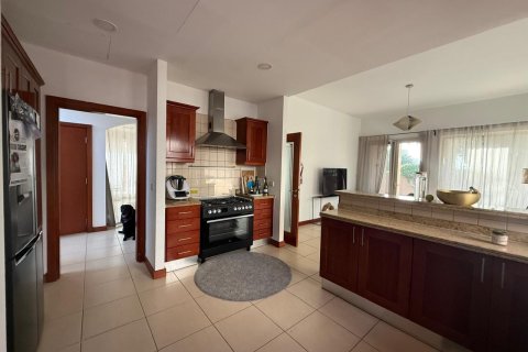 3 bedrooms Villa in Saheel, UAE No. 152467 12