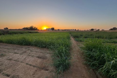  de 6 chambres  No. 124044 10