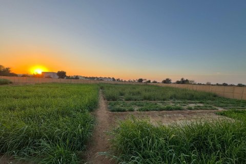  de 6 chambres  No. 124044 16