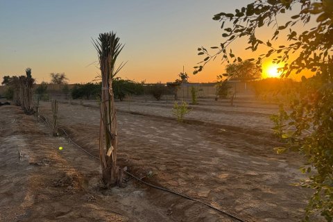  de 6 chambres  No. 124044 11