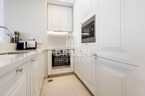 Studio Apartment in Downtown Dubai (Downtown Burj Dubai), UAE No. 192539 7